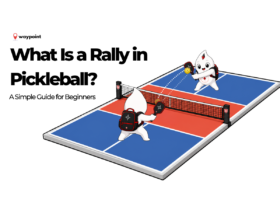 Two Waypoint mascots playing a pickleball rally across the net