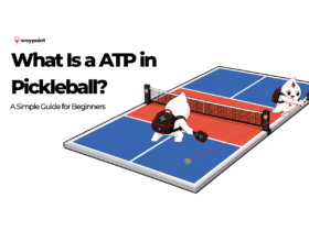 Waypoint mascots demonstrating an Around the Post shot, with the pickleball travelling around the outside of the net post and back into the court.